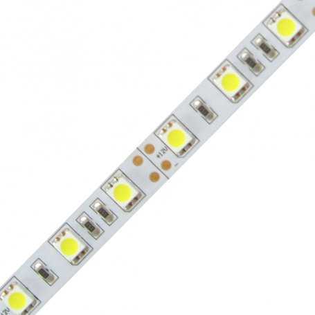 H.5050.60.1280  Strisce Led SMD 5050 - 60 led/m - 2400 Lumen 12V - CRI80 HOME  Power-Supply  Strisce di LED