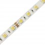 P.5050.60.2490CCT  Strisce Led SMD 5050 CCT 60 Led/ m - 2300 lumen 24V - CRI90  Power-Supply  Strisce di LED