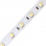 P.5050.60.24-RGBW  Striscia Led SMD 5050 RGBW - 60 led/m - 864 lumen/mt - 19.2W/mt - 24V - 5mt PRO  Power-Supply  Strisce di LED