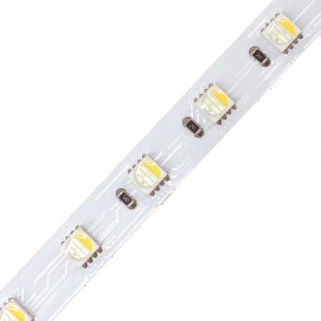 P.5050.60.24-RGBW  Striscia Led SMD 5050 RGBW - 60 led/m - 864 lumen/mt - 19.2W/mt - 24V - 5mt PRO  Power-Supply  Strisce di LED