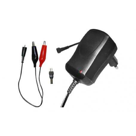 AP12C10  AP12C10- Carica Batterie Auto / Moto / Veicoli Alcapower - 12W / 12V / 1A  Alcapower  Caricabatterie