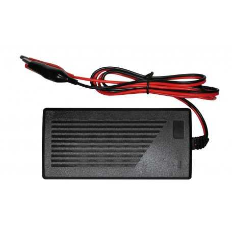 AP24V2L  AP24V2L- Carica Batterie Auto / Moto / Veicoli Alcapower - 48W / 24V / 2A  Alcapower  Caricabatterie